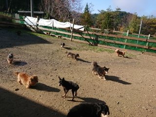 f:id:roukenhome-ann:20181119083836j:plain