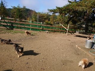 f:id:roukenhome-ann:20181119083840j:plain