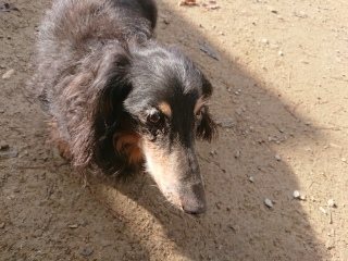 f:id:roukenhome-ann:20181119083848j:plain