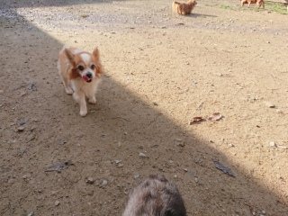 f:id:roukenhome-ann:20181119083852j:plain