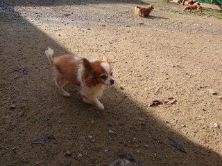 f:id:roukenhome-ann:20181119083900j:plain