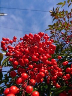 f:id:roukenhome-ann:20181119083909j:plain