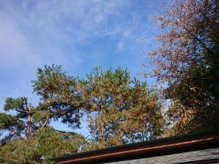 f:id:roukenhome-ann:20181119083913j:plain