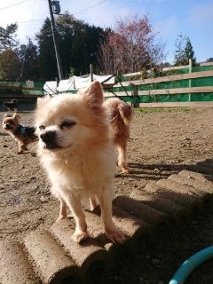 f:id:roukenhome-ann:20181119083937j:plain