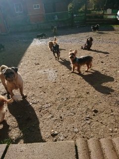 f:id:roukenhome-ann:20181119083941j:plain