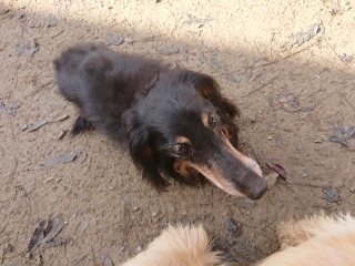 f:id:roukenhome-ann:20181119083950j:plain