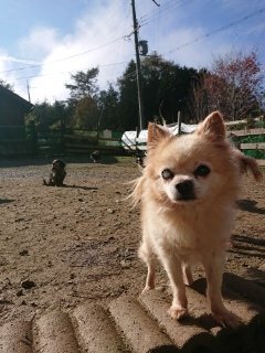 f:id:roukenhome-ann:20181119084003j:plain