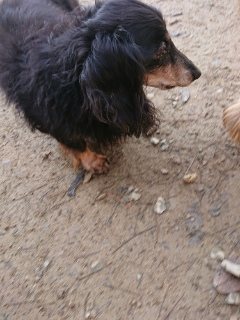 f:id:roukenhome-ann:20181119084011j:plain