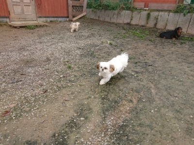 f:id:roukenhome-ann:20181121071744j:plain