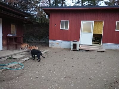 f:id:roukenhome-ann:20181121071757j:plain