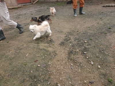 f:id:roukenhome-ann:20181121071818j:plain