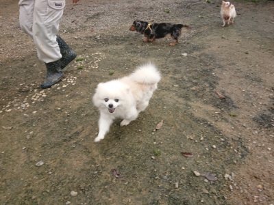 f:id:roukenhome-ann:20181121071823j:plain