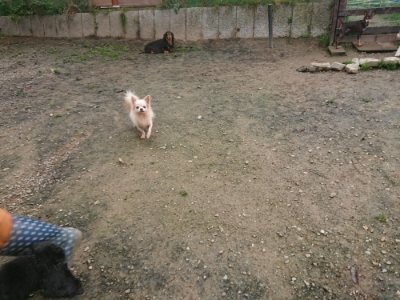 f:id:roukenhome-ann:20181121071833j:plain