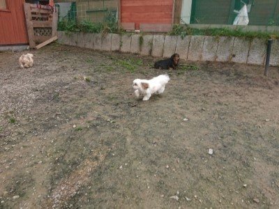 f:id:roukenhome-ann:20181121071848j:plain