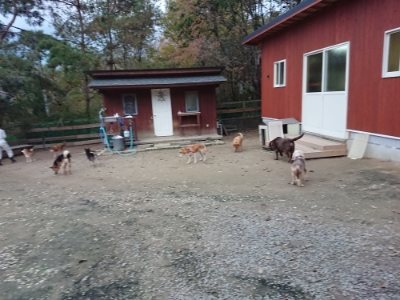f:id:roukenhome-ann:20181121071902j:plain
