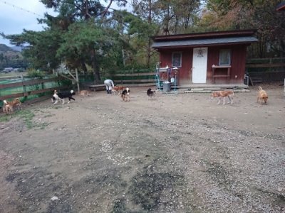 f:id:roukenhome-ann:20181121071911j:plain