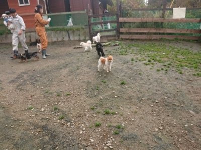 f:id:roukenhome-ann:20181121071929j:plain