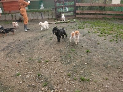 f:id:roukenhome-ann:20181121071934j:plain