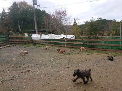 f:id:roukenhome-ann:20181121072006j:plain