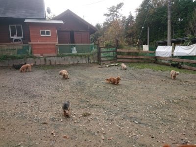 f:id:roukenhome-ann:20181121072051j:plain