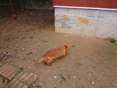 f:id:roukenhome-ann:20181121072055j:plain