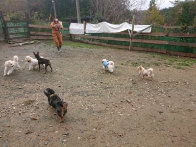 f:id:roukenhome-ann:20181121072130j:plain