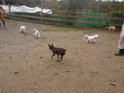 f:id:roukenhome-ann:20181121072202j:plain