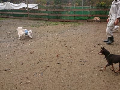 f:id:roukenhome-ann:20181121072235j:plain