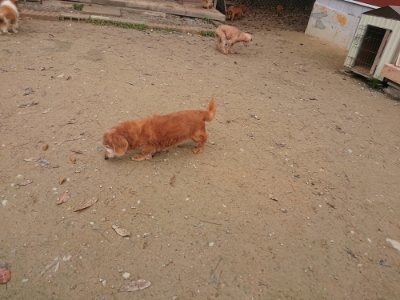 f:id:roukenhome-ann:20181121072258j:plain