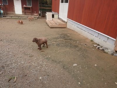 f:id:roukenhome-ann:20181121072413j:plain