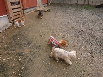 f:id:roukenhome-ann:20181121072421j:plain