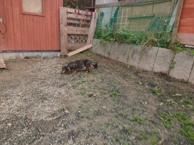 f:id:roukenhome-ann:20181121072435j:plain