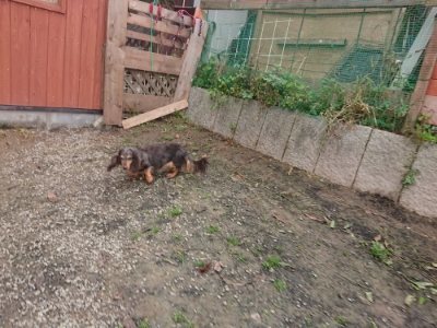 f:id:roukenhome-ann:20181121072440j:plain