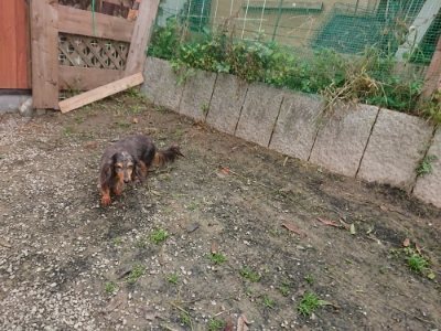 f:id:roukenhome-ann:20181121072445j:plain