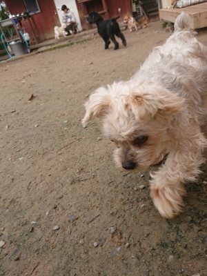 f:id:roukenhome-ann:20181121072452j:plain
