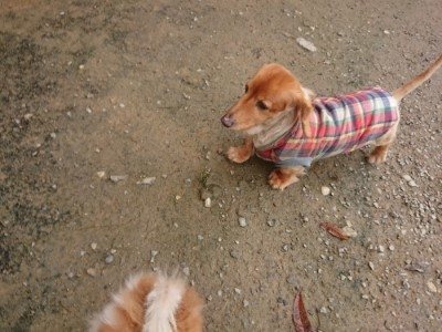 f:id:roukenhome-ann:20181121072456j:plain