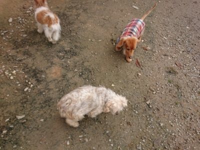 f:id:roukenhome-ann:20181121072501j:plain