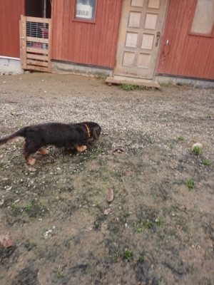 f:id:roukenhome-ann:20181121072514j:plain