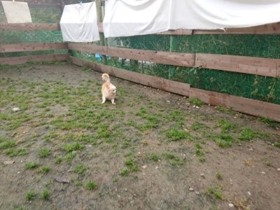 f:id:roukenhome-ann:20181121072531j:plain