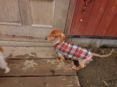 f:id:roukenhome-ann:20181121072623j:plain