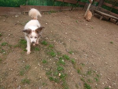 f:id:roukenhome-ann:20181121072628j:plain