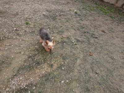 f:id:roukenhome-ann:20181121072642j:plain