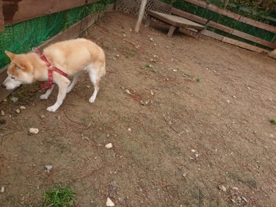 f:id:roukenhome-ann:20181121072650j:plain