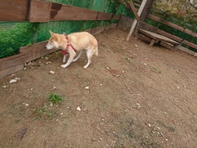 f:id:roukenhome-ann:20181121072729j:plain