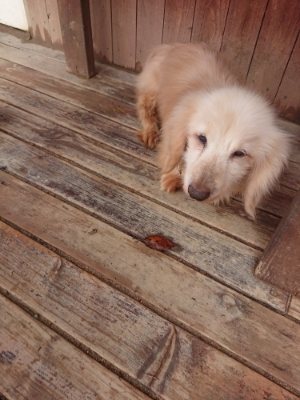 f:id:roukenhome-ann:20181121072734j:plain