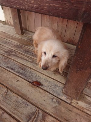 f:id:roukenhome-ann:20181121072739j:plain