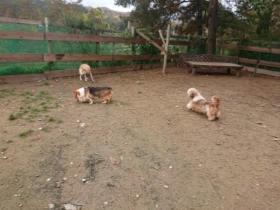 f:id:roukenhome-ann:20181121072748j:plain
