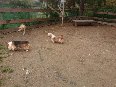 f:id:roukenhome-ann:20181121072753j:plain