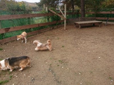 f:id:roukenhome-ann:20181121072757j:plain
