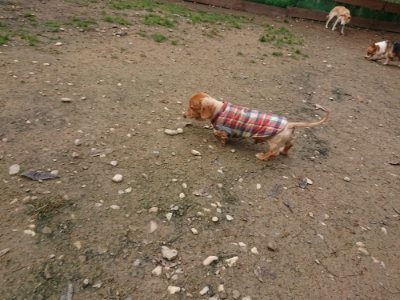 f:id:roukenhome-ann:20181121072831j:plain